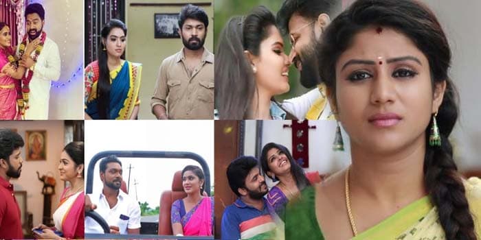 டாப் சீரியலில் மாற்றப்படும் கதாநாயகி.. கவிழும் விஜய் டிவியின் டிஆர்பி ரேட்டிங்