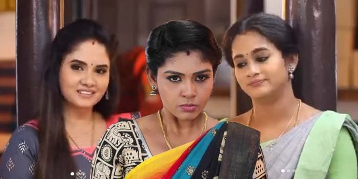 6 மாசம் என்னோட உறவிலிருந்த, உன் ரேஞ்சே வேற.. பாண்டியன் ஸ்டோர்ஸ் மருமகளுக்கு அந்தரங்க டார்ச்சர் கொடுத்த தயாரிப்பாளர்