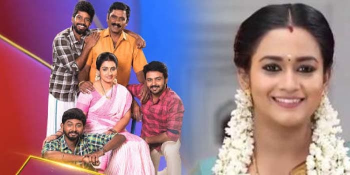 பெரிய பிரச்சினையை கையிலெடுத்த பாண்டியன் ஸ்டோர்.. இளைய தலைமுறைகளை குறிவைத்த இயக்குனர்!