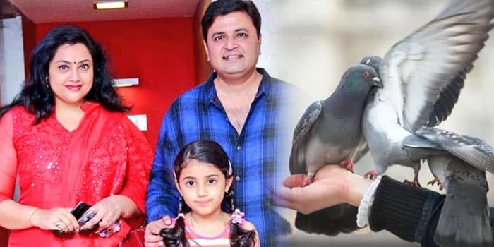 புறா எச்சத்தால் இவ்வளவு பாதிப்பா.? மீனாவின் கணவர் இறப்புக்கு காரணம் இதுதான்