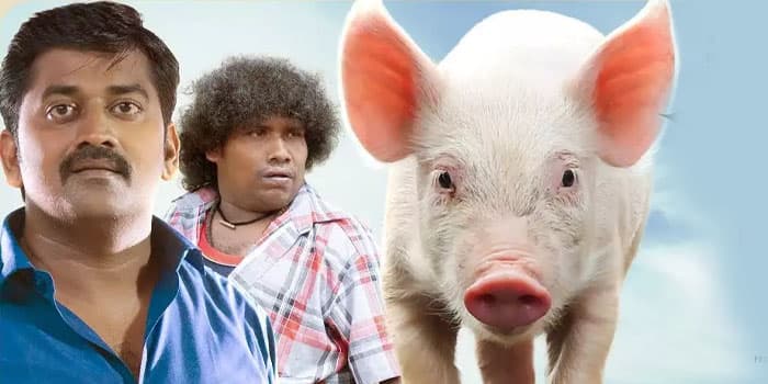 காமெடியில் அதகளப்படுத்திய பன்னிக்குட்டி.. யோகி பாபுவுக்கு கை கொடுக்குமா? ட்விட்டர் விமர்சனம்