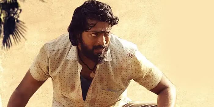 சதியால் பறிபோன உயிர், பழி தீர்க்க வரும் ரத்த பந்தம்.. பேட்டைக்காளி 3 எபிசோட்களின் விமர்சனம்