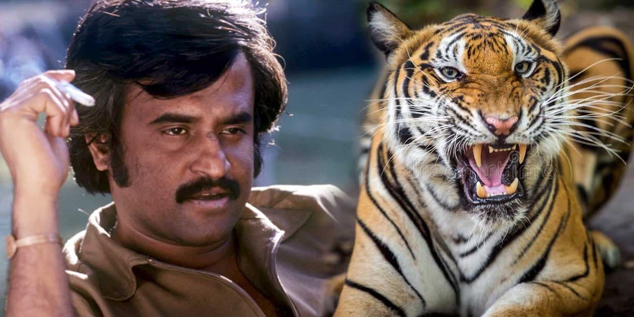 சிங்கம், புலியுடன் சண்டை போட்ட 4 தமிழ் நடிகர்கள்..