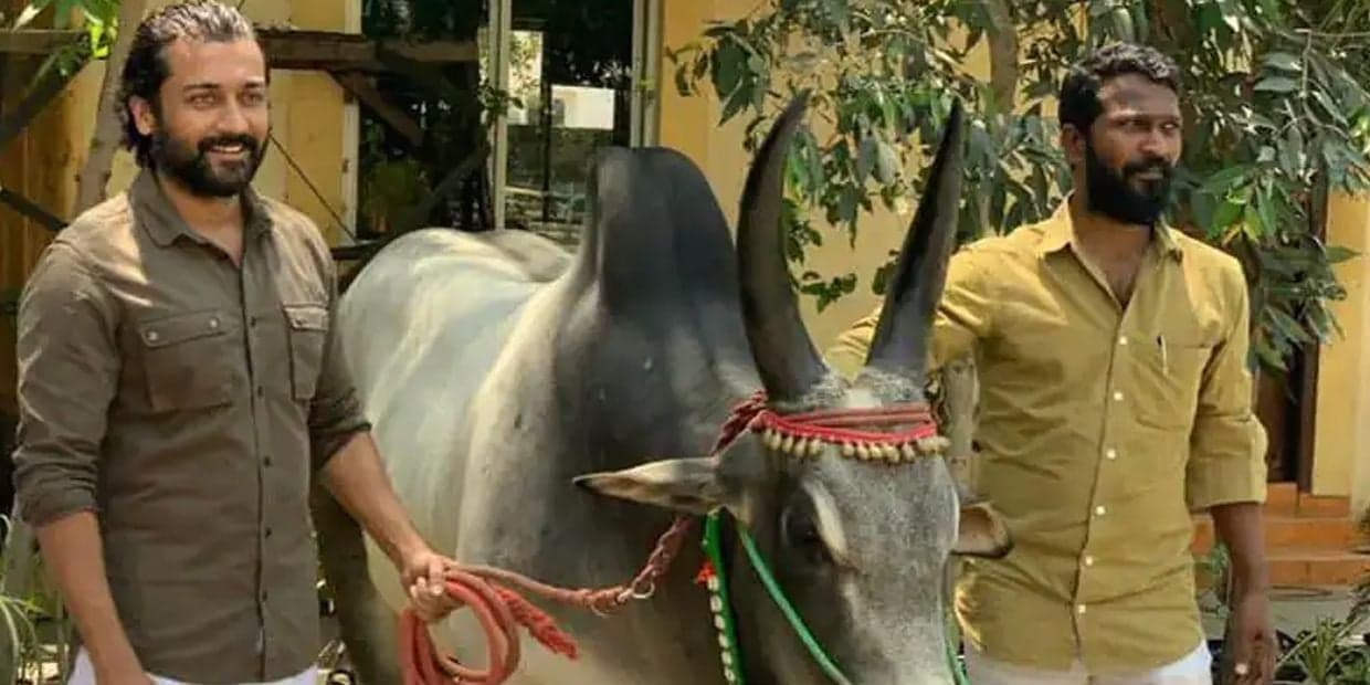 வாடிவாசல் மூடி வாசல் ஆச்சா.?வதந்திகளுக்கு முற்றுப்புள்ளி வைத்த வெற்றிமாறன்
