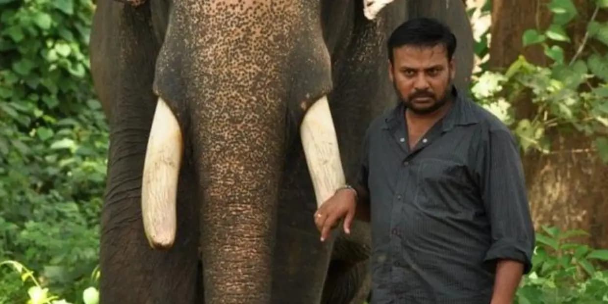 18 வருஷத்துக்கு பின் களம் இறங்கும் தயாரிப்பு நிறுவனம்.. யானைக்கு பதிலாக அடுத்த விலங்குக்கு தாவிய பிரபு சாலமன்