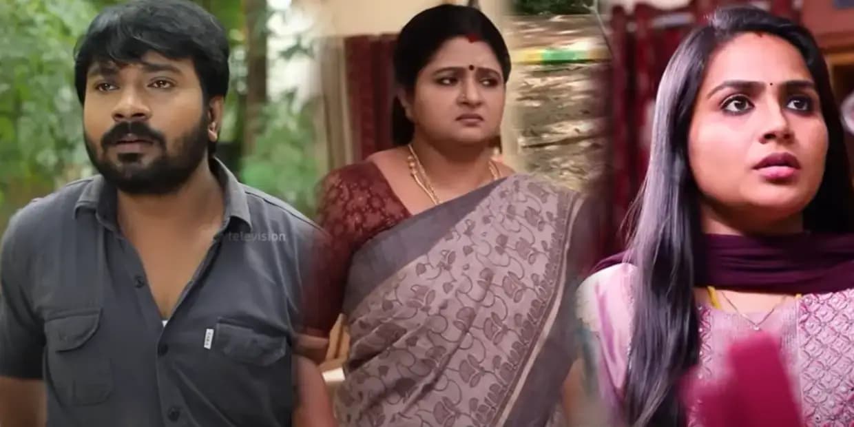 சிறகடிக்கும் ஆசை சீரியலில் வில்லியாக நடித்த ரோகிணி வெளியிட்ட புகைப்படம்.. திட்டிய திட்டுக்கு கிடைத்த பலன்