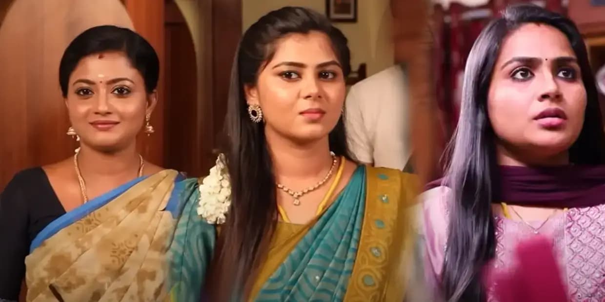 ஒத்தையா ரெட்டையா போட்டு சீரியலை விட்டு விலகப் போகும் சிறகடிக்கும் ஆசை நாயகி.. சன் டிவிக்கு சொன்ன குட்பாய்