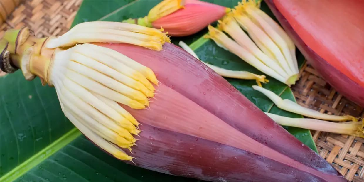 வாழைப்பூவில் இருக்கும் மருத்துவ பயன்கள்.. பெண்களின் வரப்பிரசாதம்
