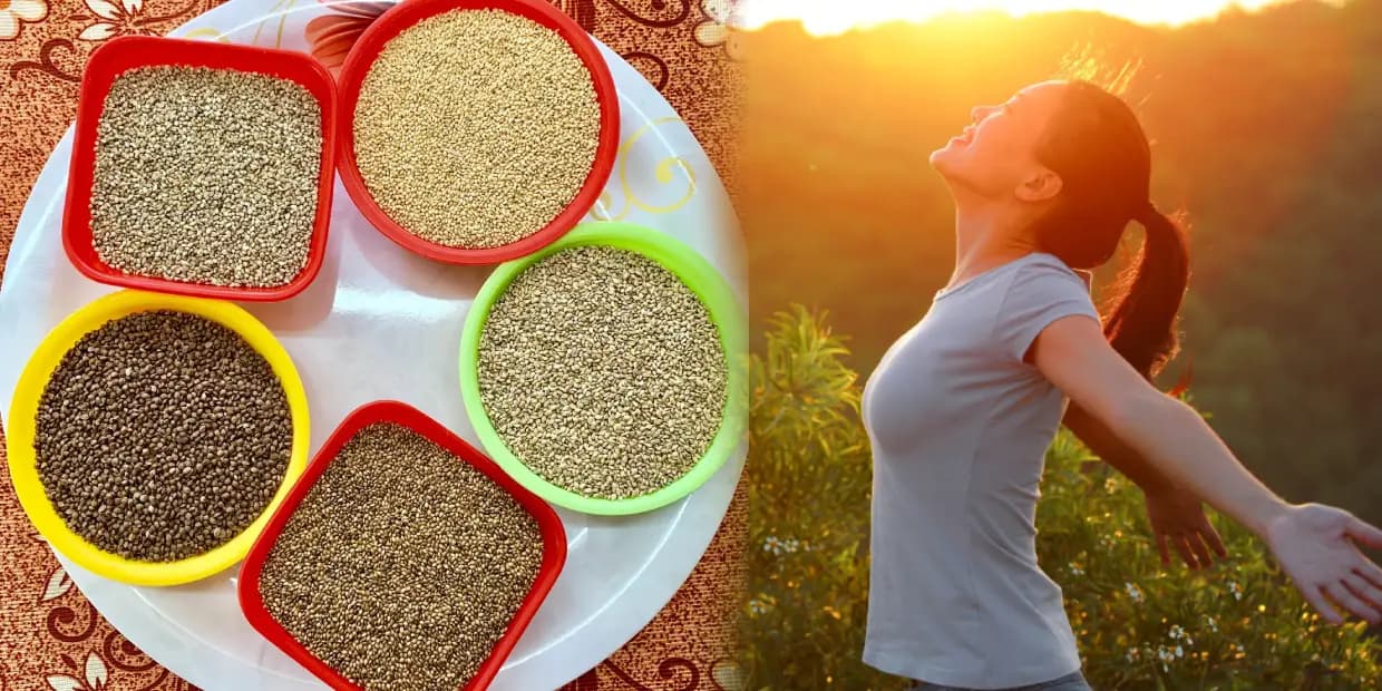 நலம் காக்கும் 5 நவதானிய அரிசிகள்.. வாரத்துக்கு ஒரு முறை எடுத்து ஆரோக்கியமாக வாழ எளிய வழிமுறைகள்