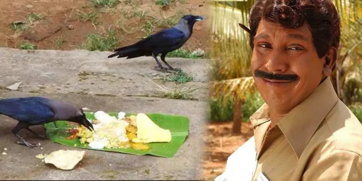 மத்த நாளெல்லாம் இதுக்கு பேரு காக்கா.. அமாவாசை அன்னைக்கு மட்டும் செத்துப்போன தாத்தா, வைரல் மீம்ஸ்