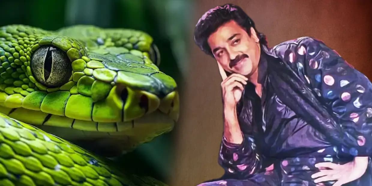 நடிகையின் கன்னத்தில் பாம்பை நக்க விட்ட கமல்.. உடம்பெல்லாம் உறைஞ்சு போன சம்பவம்