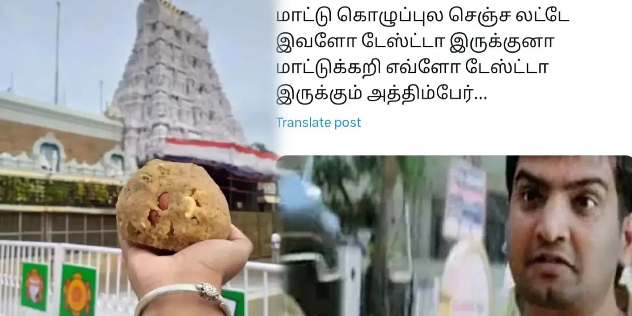 திருப்பதிக்கு போயிட்டு வர்றவங்க எல்லாரும் அசைவம் தான்.. லட்டு வாங்கி சாப்பிட்டு இருக்காங்கல்ல, ட்ரெண்டிங் மீம்ஸ்
