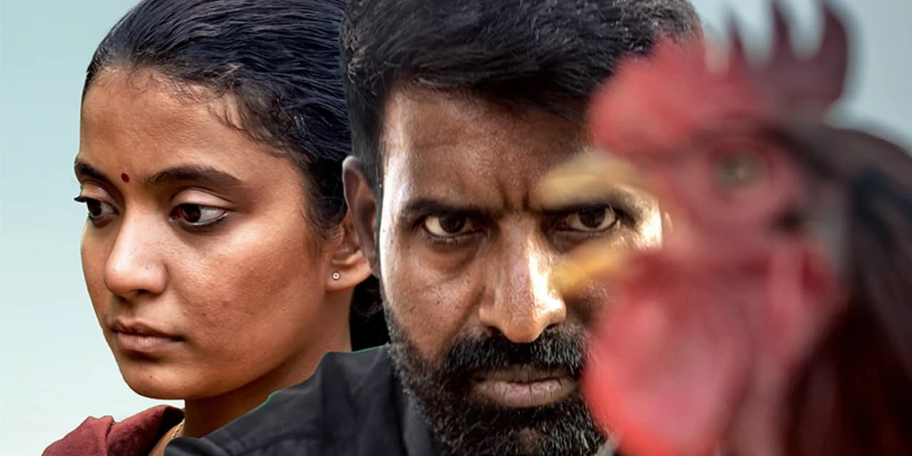 கொட்டுக்காளி படம் உங்களுக்கு பிடிச்சதா.. அப்போ இந்த படங்களை எல்லாம் கண்டிப்பா பாருங்க