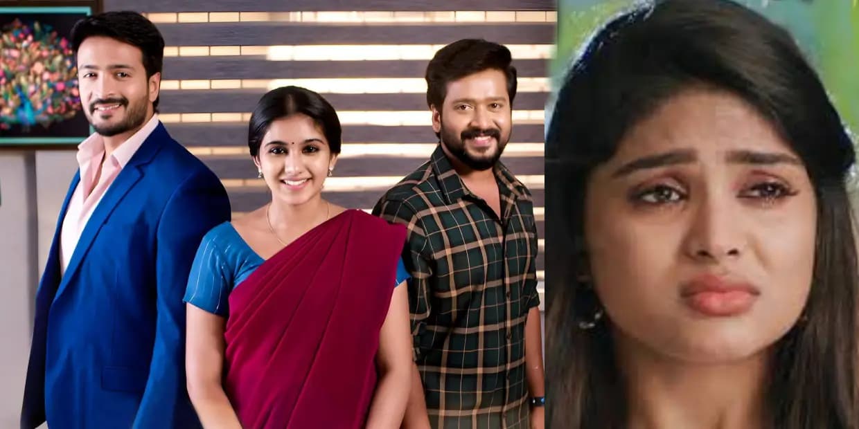 டிஆர்பி ரேட்டிங்கில் விட்ட இடத்தை பிடித்த சிங்க பெண்ணே சீரியல்.. முதல் 5 இடத்தில் ஜொலிக்கும் சன் டிவி சீரியல்கள்