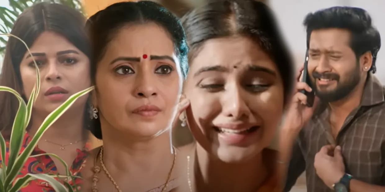 சிங்கப்பெண்ணில் மித்ராவிடம் சிக்கிய அன்பு-ஆனந்தி.. பார்வதிக்கு கிடைக்கும் துருப்பு சீட்டு