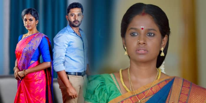 சீரியலுக்கு முழுக்கு போட்ட கண்ணம்மா, சுந்தரி.. தனி அங்கீகாரமே கிடைச்சாச்சு!