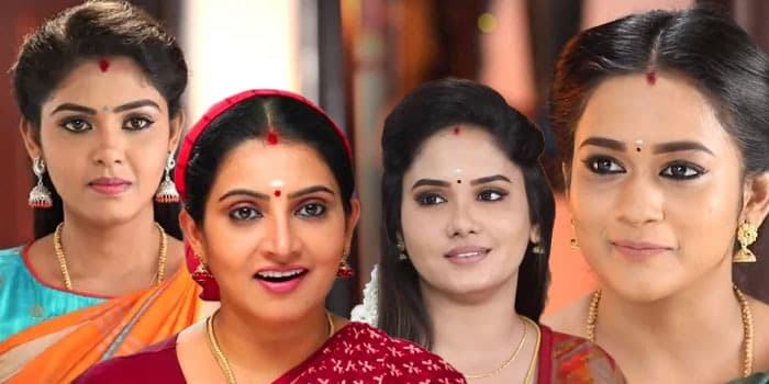 பாண்டியன் ஸ்டோர்ஸ் விட்டு விலகும் முக்கிய நடிகை.. டி ஆர் பி-க்கு வச்சாங்க ஆப்பு