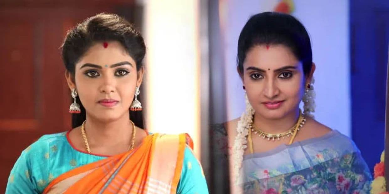 பாண்டியன் ஸ்டோர்ஸ் நடிகர்கள் ஒரு எபிசோடுக்கு வாங்கும் சம்பளம்.. எல்லாரையும் மிஞ்சிய அந்த நபர்