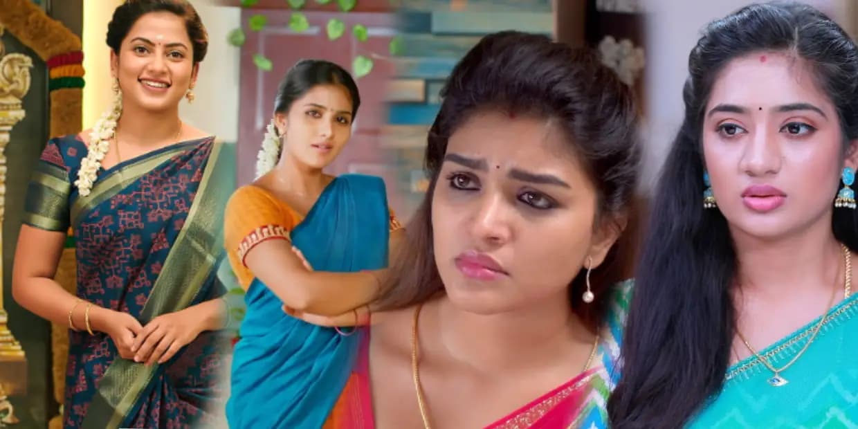 சினிமாவை விட சீரியலில் இவ்வளவு சம்பளமா.? சன் டிவி டாப் 5 நடிகைகளின் சம்பள லிஸ்ட்