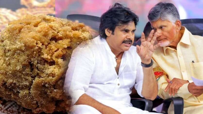 100 நாள் ஆட்சியில் ஒரு திட்டமும் இல்ல.. கடவுளுடன் விளையாடி வருகிறார் பவன் கல்யாண் - பிரபல பூ நடிகை ஆத்திரம்