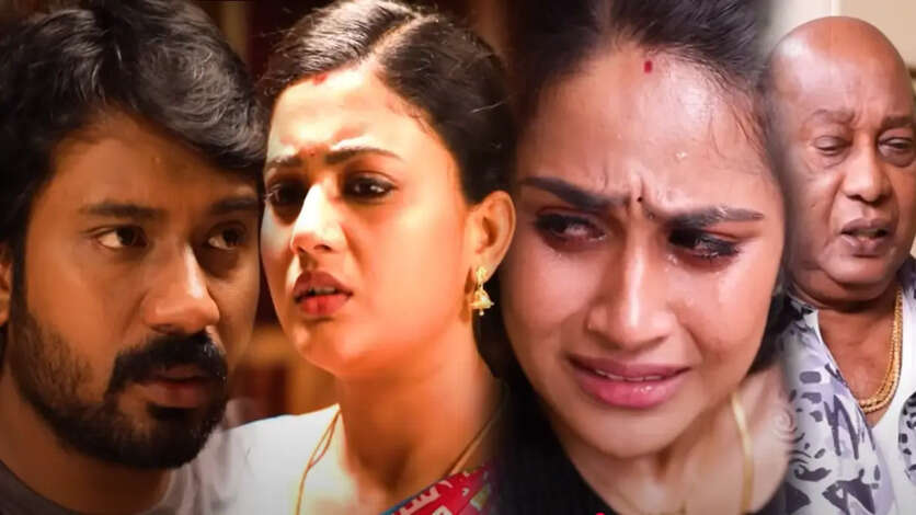 முத்து விரித்த வலையில் தானாக சிக்கிக் கொண்ட ரோகினி.. பிரவுன் மணியை சந்திக்கப் போகும் மீனா