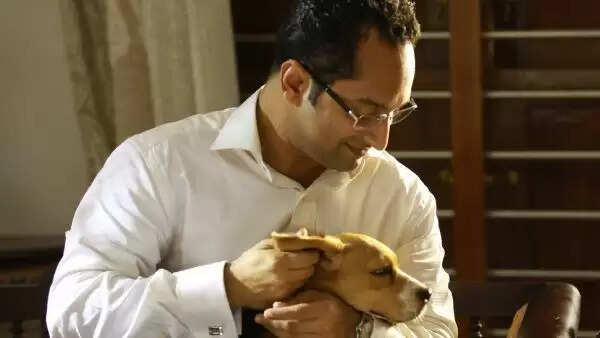 டிப்ரஷன் தலைக்கேறி பஹத் பாசில் செய்யும் வேலை.. சமீபகாலமா சிக்காவத் சார் கொடுக்கும் அலப்பறை