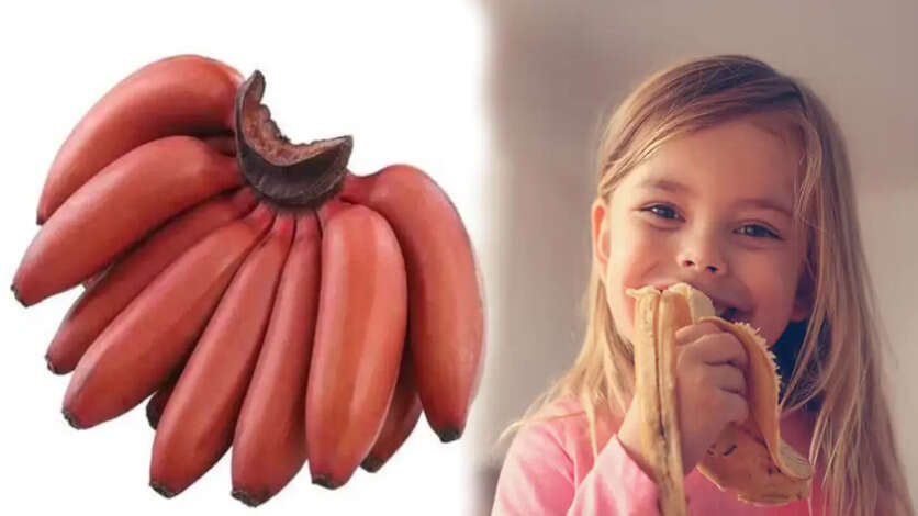 செவ்வாழைப் பழத்தின் முத்தான 10 மருத்துவ குணங்கள்.. குழந்தைகளை சாப்பிட வைக்கும் எளிய முறை