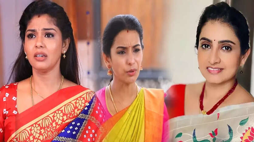 பாண்டியன் ஸ்டோர்ஸ் 2வில் என்ட்ரி கொடுக்கும் மருமகள்.. டிஆர்பிக்காக லாக் செய்த விஜய் டிவி