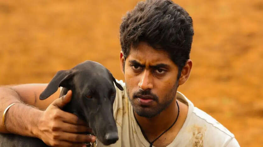 உண்மை கதைகளை அப்படியே கண்முன் நிறுத்திய 6 படங்கள்..