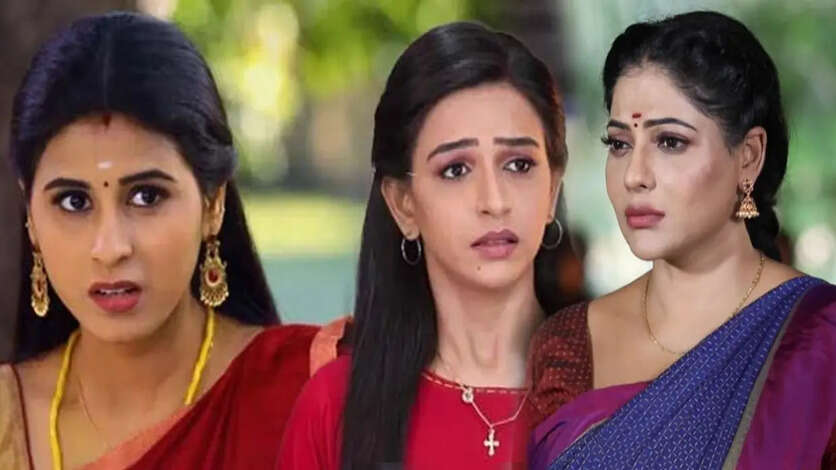 பாக்கியலட்சுமி சங்கத்தமே வேண்டாம், ஓட்டம் பிடித்த மருமகள்.. ராதிகாவிற்கு டஃப் கொடுக்க சொன்னதால் ஏற்பட்ட விபரீதம்