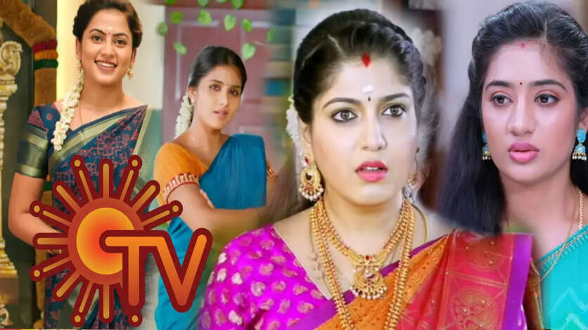 அடுத்த விவாகரத்தை உறுதி செய்த சன் டிவி சீரியல் நடிகை.. நீங்க சொல்ற காரணம் நம்புகிற மாதிரியா இருக்கு!