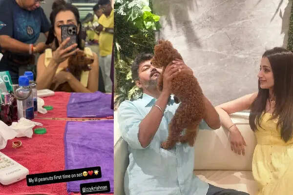 விடாமுயற்சி, தக் லைஃப் கற்று கொடுத்த பாடம்.. எவளோ ட்ரோல் வந்தாலும் கலங்காத திரிஷா