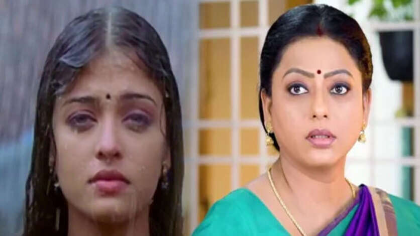 ஐஸ்வர்யா ராயை மிஞ்சிய ஆக்சனா இருக்கே பாக்யா.. ரசிகர்களை கொலையாக கொள்ளும் இயக்குனர்