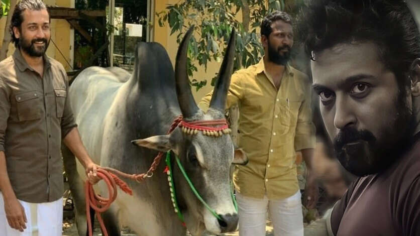 சூர்யா ரசிகர்களுக்கு வெற்றி மாறன் கொடுத்த ட்ரீட்.. வாடிவாசல் ஷூட்டிங், ரிலீஸ் தேதி அப்டேட்!