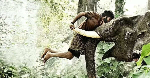 முதல் பாகம் ஹீரோக்கள் இல்லாமல் வரும் 2ஆம் பாகம் படங்கள்.. காதலியை விட்டுக் கொடுத்த கார்த்தி