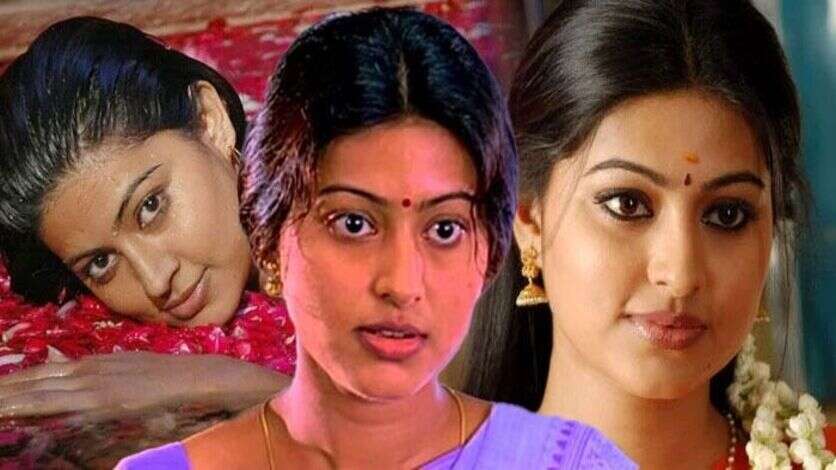 சினேகா நடிப்பில் சூப்பர் ஹிட் அடித்த 5 படங்கள்.. அடையாளப்படுத்திய செல்வராகவனின் புதுப்பேட்டை