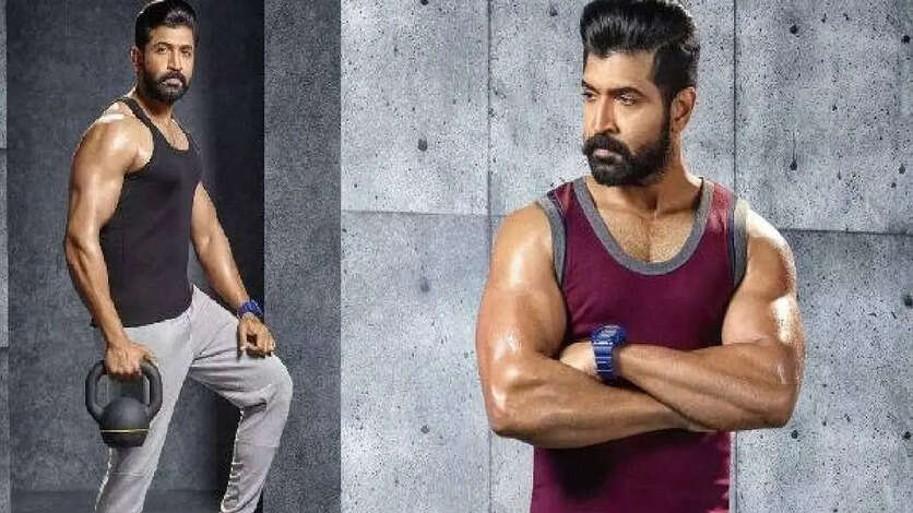 கை உடைஞ்சாலும் வெற்றிக்காக போராடும் அருண் விஜய்.. டாப் ஹீரோக்கள் பார்த்து கத்துக்கோங்க!