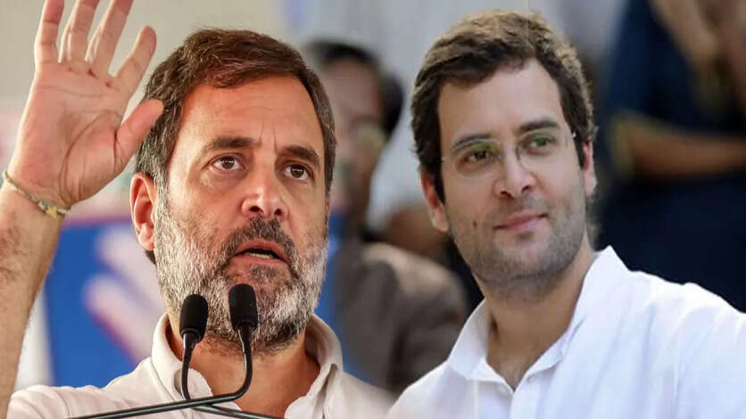 திடீரென ராகுல் காந்தியை சந்தித்த பேட்ட பட நடிகை.. ஒருவேளை இருக்குமோ!