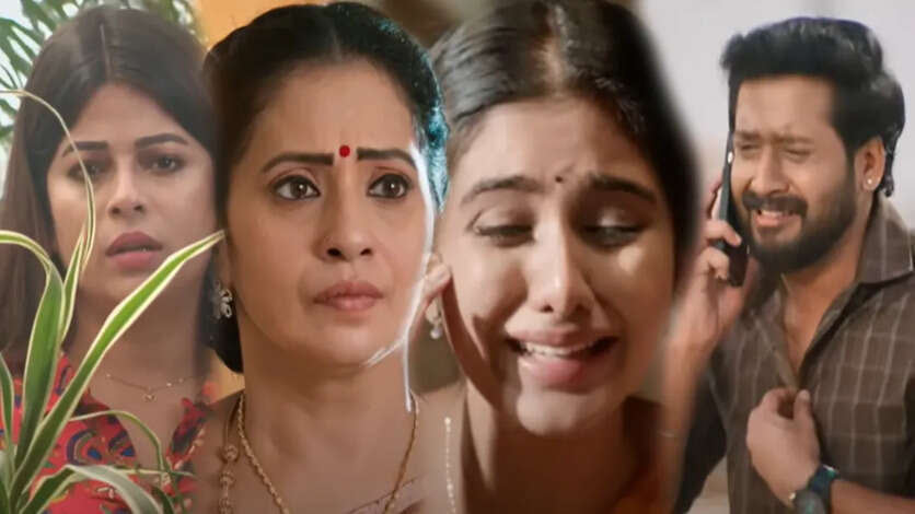 சிங்கப்பெண்ணில் மித்ராவிடம் சிக்கிய அன்பு-ஆனந்தி.. பார்வதிக்கு கிடைக்கும் துருப்பு சீட்டு