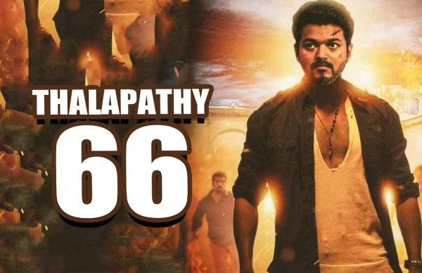 thalapathy66-cinemapettai