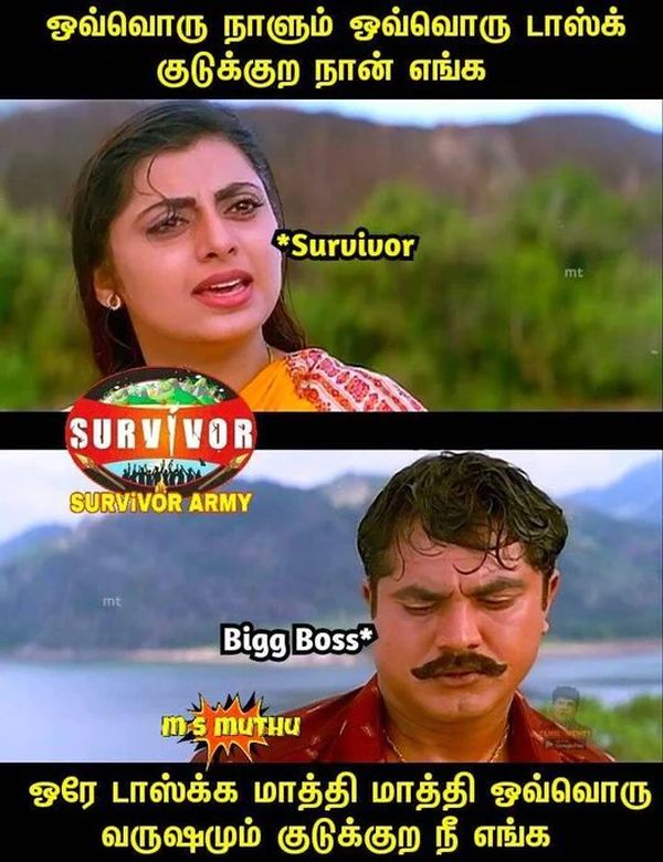 bb-vs-survivor