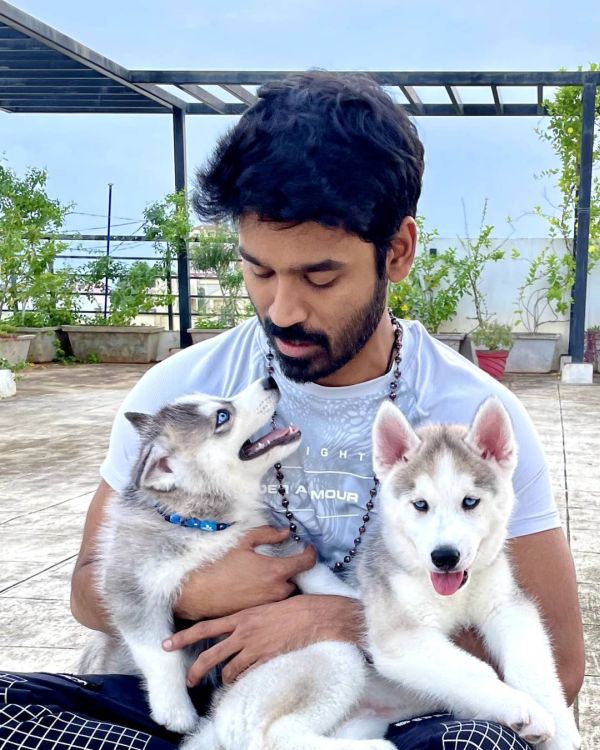 dhanush-with-his-pets