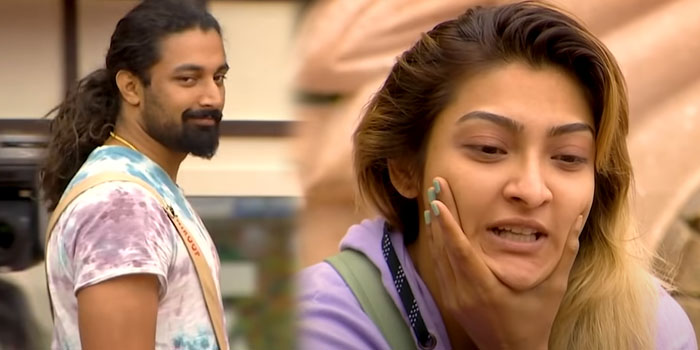 bigg-boss-akshara-nirup