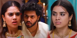 veetukku veedu vasapadi