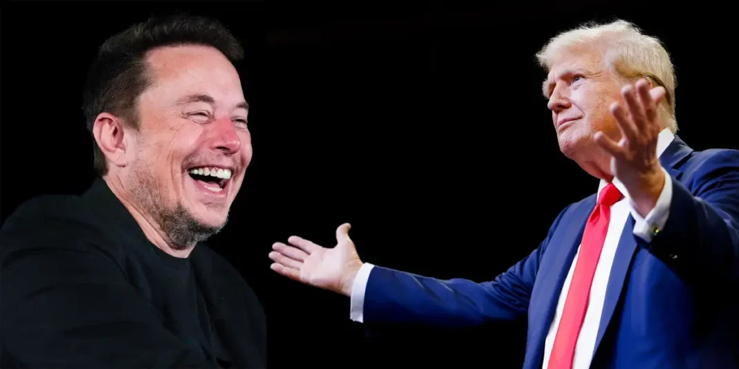 elon musk trump