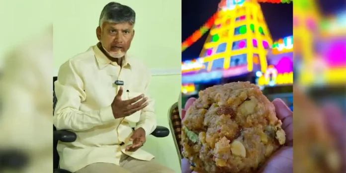 chandrababu-naidu-laddu