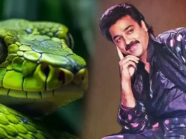 kamal-snake