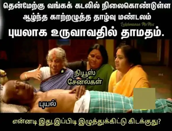 fengal-memes