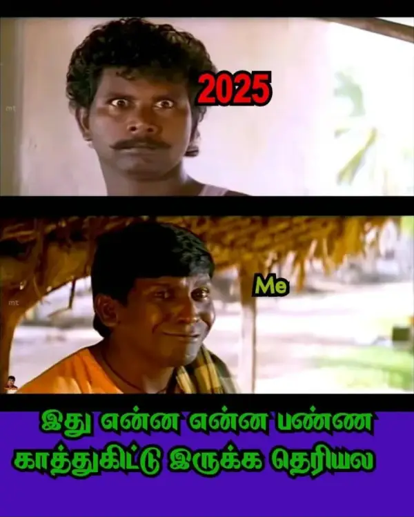 memes-2025