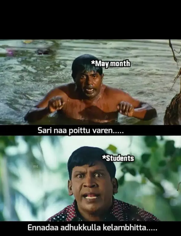 memes
